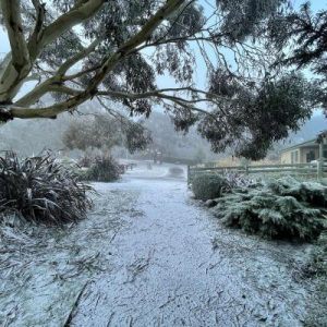 Mt Macedon dusted in snow