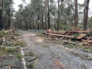 Severe wind expected to lash the Macedon Ranges, again
