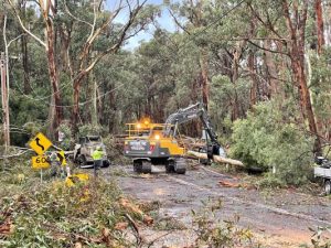 Storms uncover insurance gaps