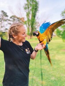 Community answers call to rescue rare bird