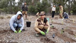 Help protect Sunbury’s birds