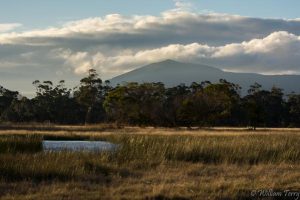 Director of Hanging Rock Master Plan appointed