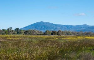 Feedback sought on Macedon Ranges environmental policy
