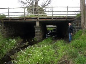 Plea to save historic bridge