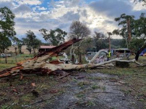 Council tallies storm toll