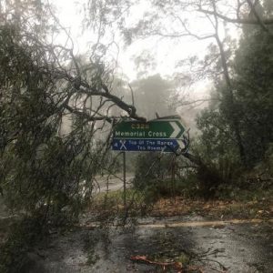 ‘No support’ for storm-affected business