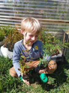 Lend Landcare a hand
