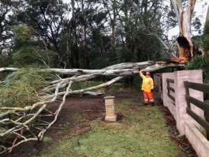 Storm recovery support arrives