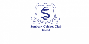 Works to commence on Clarke Oval turf wicket