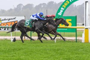 Indiana Lilly by a head