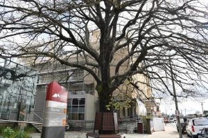 Council delays decision on accountability policy