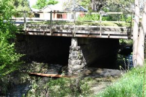 Community adds voice to bridge debate