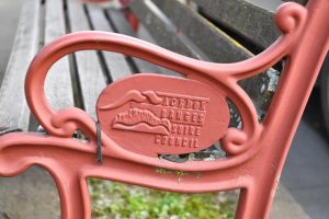 ‘Thoughtless’ vandals damage trees