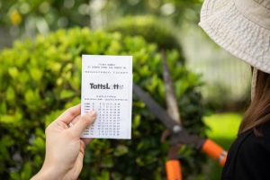 Sunbury, the lucky suburb