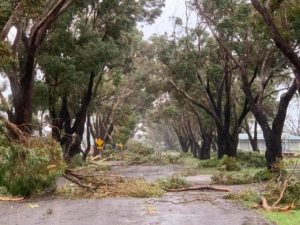 Applications open for disaster mitigation