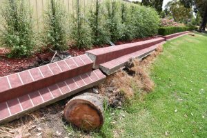 Tree damage not our responsibility: council