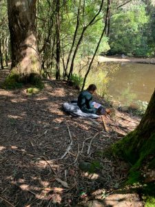 Tracing the roots of creativity