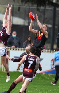 Gisborne’s local talent