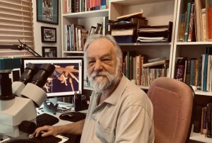 Woodend bug expo set to buzz