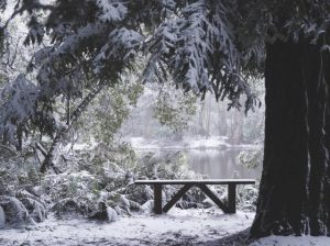Macedon Ranges ‘magnificent’ photography exhibition