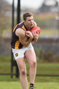 Hawks bring in experience