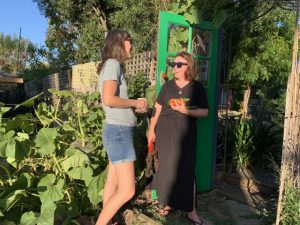 Get to know your neighbours