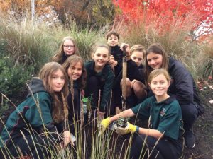 From little things big things grow