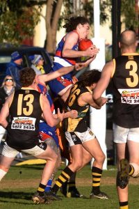Bulldogs’ tame Tigers