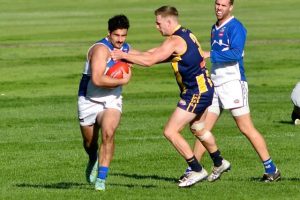 Kangaroos on the hunt for new coach