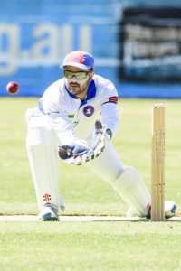 Cats starting to click