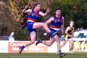 Young Bulldogs fight it out