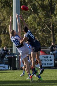 Lions romp home against Panthers