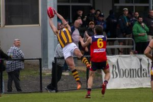 Hawks solid start to season