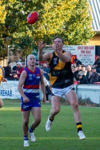 Tigers hold off Bulldogs