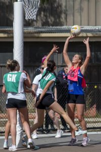 Bulldogs young stars shine