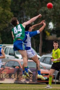 Kangaroos on the board