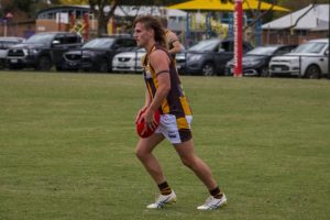 Hawks starting to gel