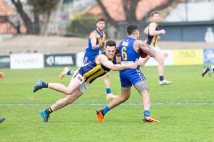 Sharks no match for Lions