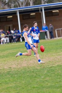 Kangaroos recognised