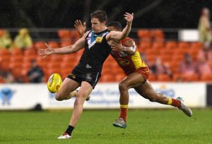 White returns to Lions