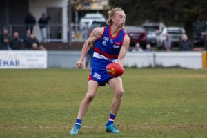 Dogs’ youthful approach