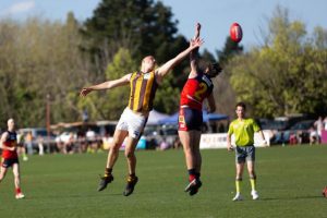 RDFNL fixture released