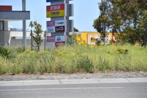 Sunbury’s good samaritan