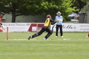 Bees’ set challenge