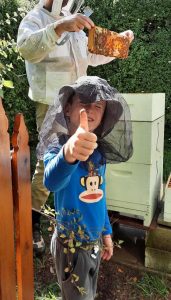 Buzzing to learn more