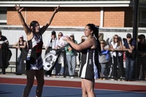 Hicks joins the Lions