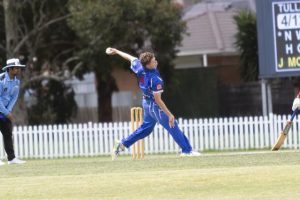 Roar hoping to get louder