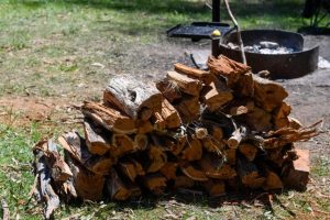 Firewood concerns spark in parliament