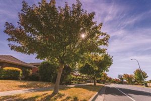 New nature strip policy