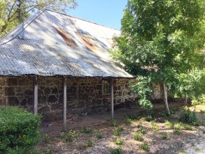 Garden opening blooms
